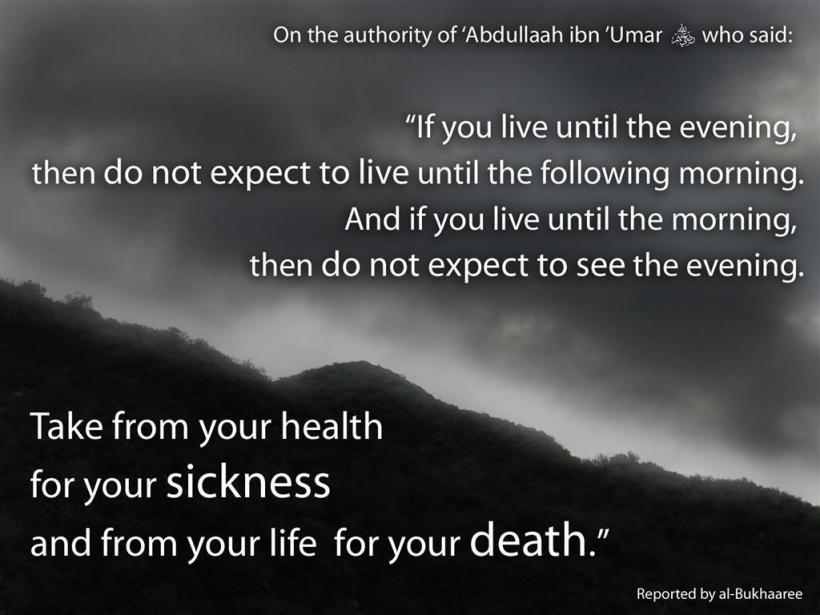 wp-1436490070024 image