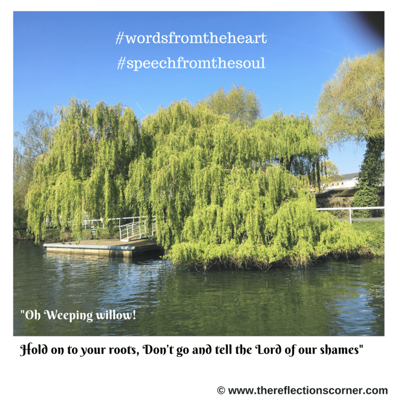 Oh Weeping willow!Hold on to your roots,Don_t go and tell the Lord of our shames,Hold on, for just a moment,Give us a chance ,Oh Weeping willow, give us a chance!